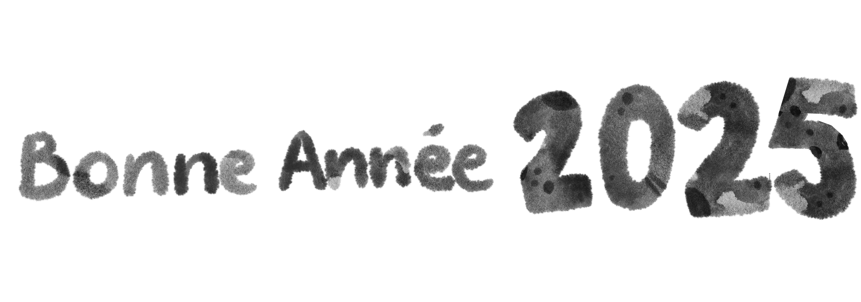 Bonne année 2025